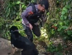 Potongan Tubuh Korban Mutilasi dalam Freezer Ditemukan di Bogor