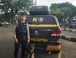 751 Atlet Bertanding, Bripda Petra Polri Raih Emas: Dari Perawatan K9 Alma hingga Juara Nasional KASAL Cup V 2026
