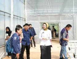 Teknologi Smart Greenhouse BRIN Dorong Ketahanan Pangan Untuk Sukseskan Program MBG