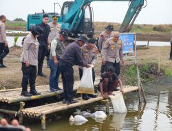 Polda Metro Jaya Tebar 37 Ribu Benih Ikan di Muara Gembong, Dukung Ketahanan Pangan