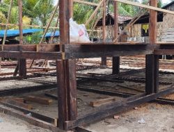 TMMD Ke-128 Kodim 1710/Mimika Gunakan Kayu Besi Berkualitas untuk Bangun Rumah Layak Huni di Kampung Keakwa