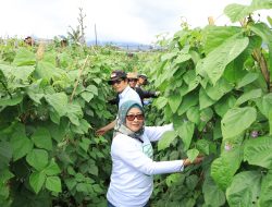 Sukses Berdayakan Warga Desa di Cianjur, PELNI Raih CSR Award 2026