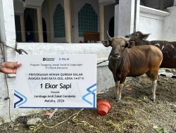 Hari Raya Iduladha, TJSL PELNI Salurkan Hewan Qurban di Sejumlah Wilayah Operasional