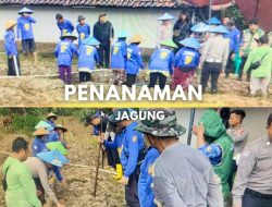 Dukung Ketahanan Pangan Nasional, Satlantas Polres Majalengka Turun Langsung Pematangan Lahan Jagung Bersama Petani