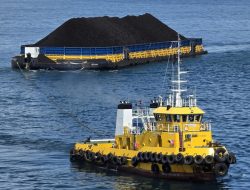 Dukung Pasokan Energi Nasional, PELNI Angkut Lebih dari 335 Ribu Ton Batubara pada Semester I 2026