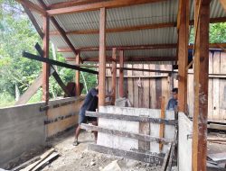 Tak Kenal Lelah! Prajurit TMMD Ke-129 Kodim 1807/Sorong Selatan Kebut Pembangunan Rumah Warga Demi Wujudkan Hunian Layak