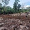 TMMD Ke-129 Tuntaskan Pembukaan Lahan 1 Hektar, Siap Ditanami untuk Perkuat Ketahanan Pangan Kampung Sesor