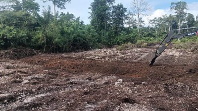 TMMD Ke-129 Tuntaskan Pembukaan Lahan 1 Hektar, Siap Ditanami untuk Perkuat Ketahanan Pangan Kampung Sesor