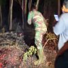 TNI Siagakan 66.510 Personel Tangani Karhutla di Seluruh Indonesia