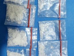 Polda Banten Ungkap Peredaran Narkotika, Sita 11 Kilogram Ganja dan 4,56 Gram Sabu